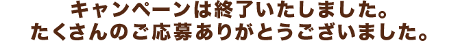 実施期間:2018年 9/1(土)〜11/16(金)