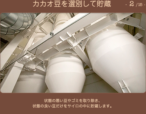 カカオ豆を選別して貯蔵 2/15 状態の悪い豆やゴミを取り除き、状態の良い豆だけをサイロの中に貯蔵します。