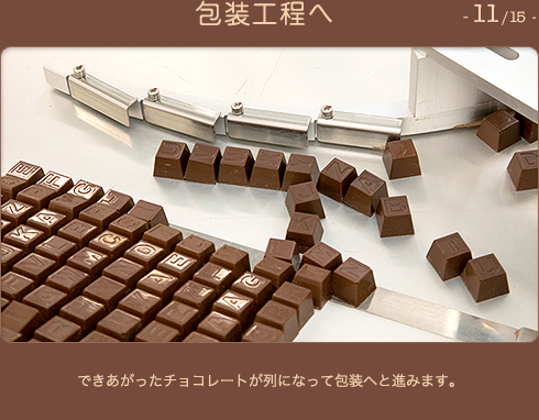 包装工程へ 11/15 できあがったチョコレートが列になって包装へと進みます。