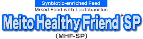 Synbiotic-enriched Feed, Mixed Feed with Lactobacillus, Meito Healthy Friend SP (MHF-SP)